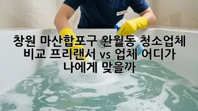 창원 마산합포구 완월동 청소업체 비교: 프리랜서 vs 업체, 어디가 나에게 맞을까?