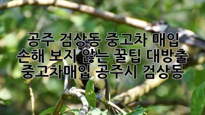 🚗💨 공주 검상동 중고차 매입, 손해 보지 않는 꿀팁 대방출! #중고차매입 #공주시 #검상동